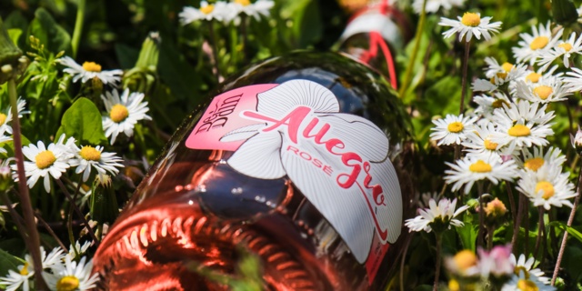 Allegro Vino Frizzante I.G.T. Rosé